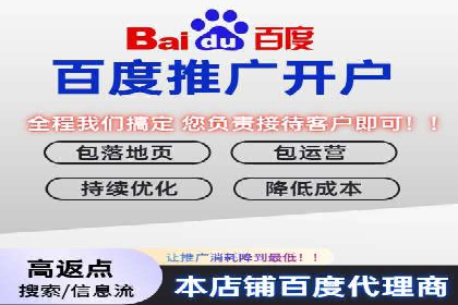 SEO技术突破：某网站流量暴增的背后故事